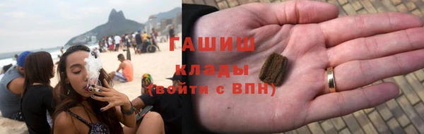 apvp Алзамай